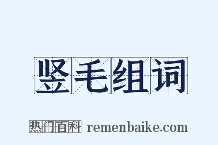 竖毛组词是什么意思的图片